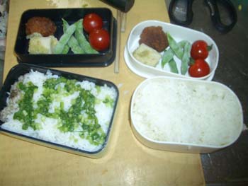 20060811